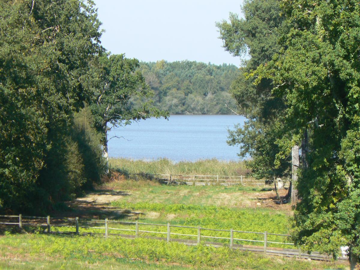 Domaine De Mont-Evray Hotel Nouan-le-Fuzelier Luaran gambar